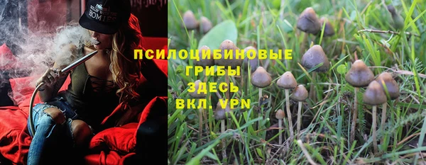 спиды Армянск